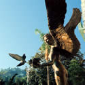 Isola Bella Garden - Bronze Angel